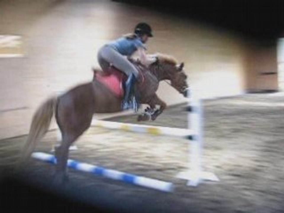 Lili Rose - Obstacle - Ponette à Vendre