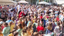 Höfefest 2025 Groß-Enzersdorf