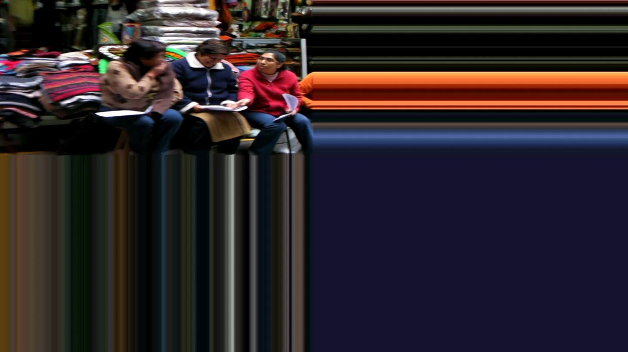 2009 les petits debrouillards