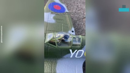 Grass Cricket Takes Flight in Rc Spirfire Plane