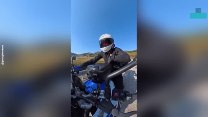 Biker Stung in Chest During Road Trip