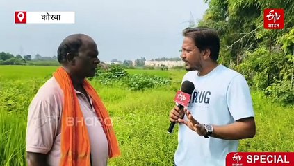 मॉडर्न फार्मिंग: वर्मी ग्रिड मैट्रिक्स मेथड से धान की खेती, कोरबा के किसान राम रतन निकुंज ने बदली किस्मत, किसानों को दिखाया रास्ता