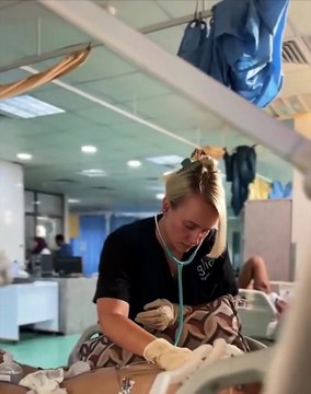 American nurse Annalise describes the condition of Ghaza