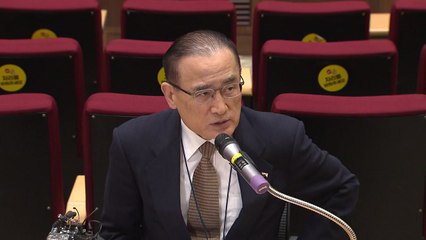 위성락 안보실장 "미국 국내법 개정해 '새 비자' 만드는 방안 협의" / YTN