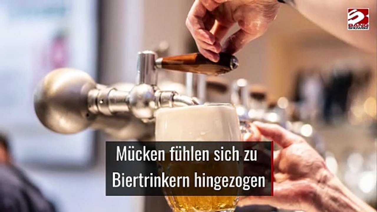 Mücken fühlen sich zu Biertrinkern hingezogen