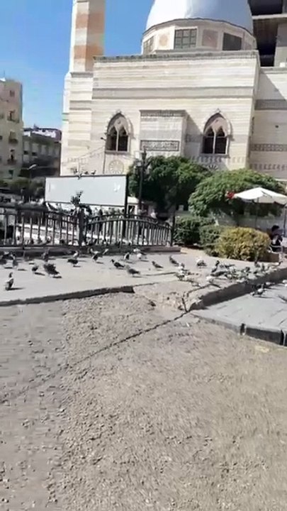 ريحة الشام بترد الروح وبتخلي القلب يحن