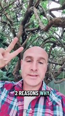 2 Reasons Your Not Making Money Online