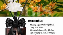 Tinh dầu thiên nhiên giá rẻ OBIS nguyên chất xông phòng thơm phòng ngủ, khách sạn TDH - TRIPMAP Marketplace