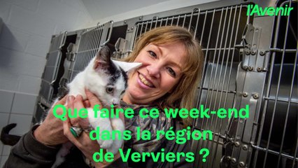 Nos coups de coeur festifs des 13 et 14 septembre dans la région de Verviers