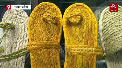 NBRI के वैज्ञानिकों ने जलकुंभी से बनायीं इको फ्रेंडली स्लीपर; दूर होंगी ये बीमारियां, मिलेगा जबरदस्त आराम