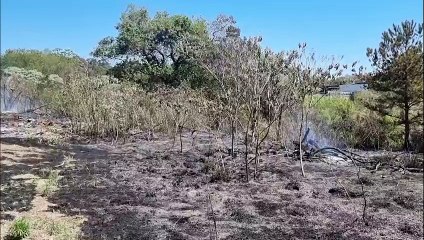 Incêndio devasta área de vegetação no Periolo