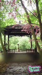 A Supermarket in Ancient Times- Her Magical Path from Poverty to Prosperity