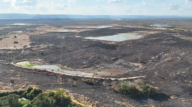 Fazenda tem 132 hectares queimados após expansão de campo de fogo em Crateús