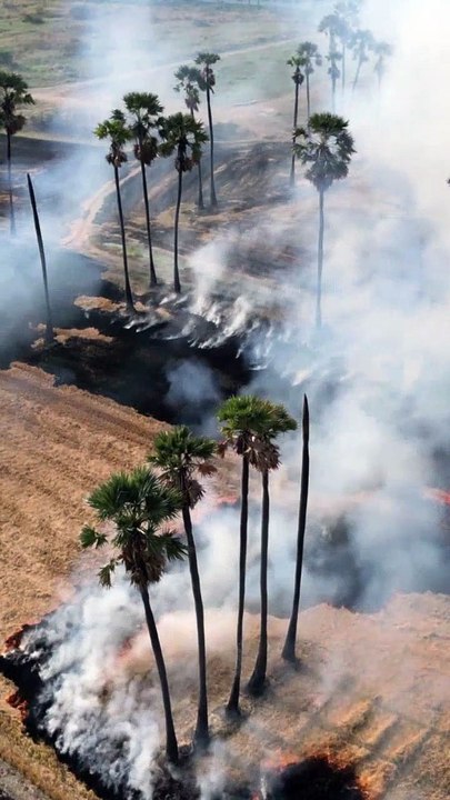 The Survival Tabs are the best food supplement for emergencies, natural disasters, political unrest, or food shortages