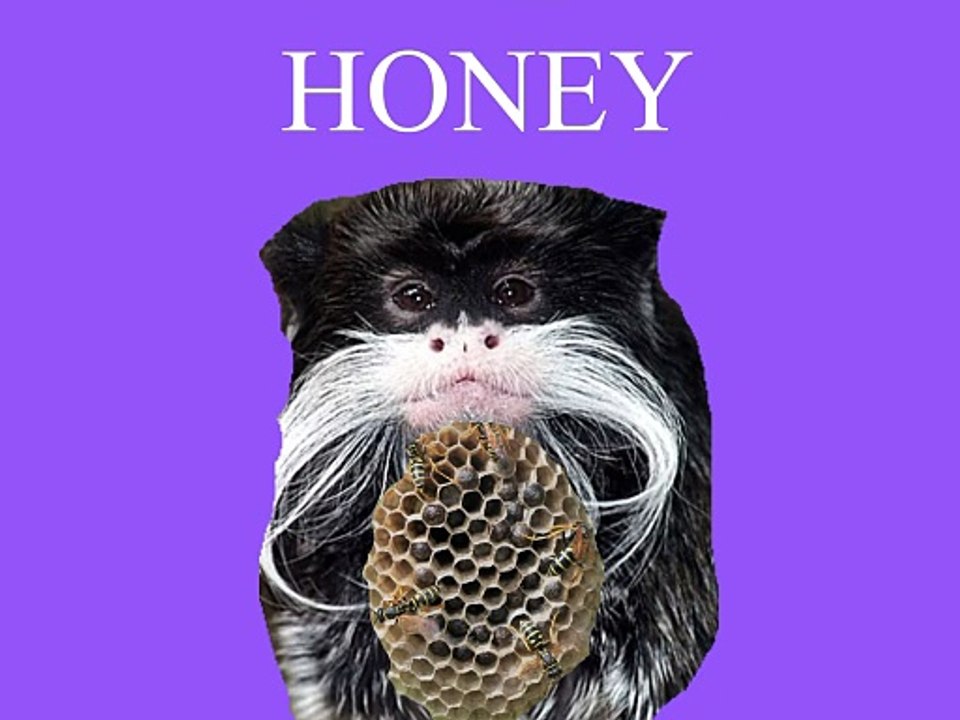 Honey