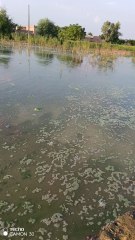 Flood in Pakistan, Flood situation 😰💔 #flood