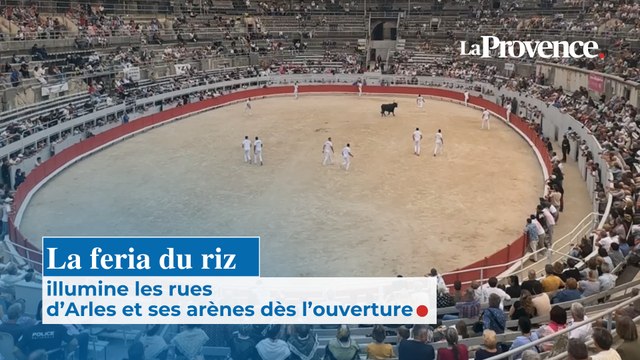 La feria du riz illumine les rues d’Arles et ses arènes dès l’ouverture