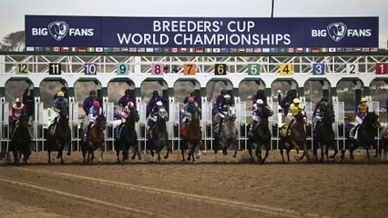 Corsia Voloce's Path to Breeders' Cup Juvenile Turf