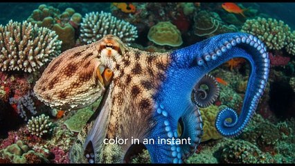Unlock the Mysteries of Octopuses: Masters of Disguise & Underwater Architects 🐙