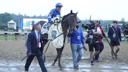 Stanley House Faces Tougher Competition in Latest Race