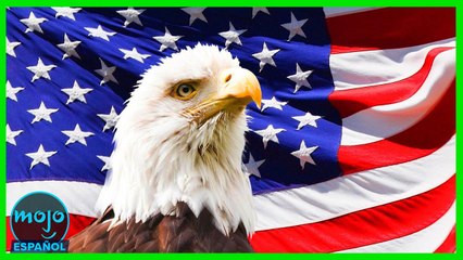 ¡Top 30 Costumbres MÁS EXTRAÑAS de los Estados Unidos!