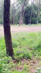 From Fifty To Fearless - Rising To Rule All