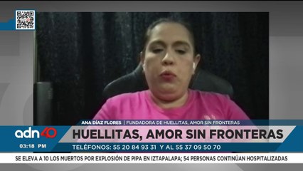 La perrita Cereza lucha por su vida tras la explosión de pipa mientras sus cachorros la esperan