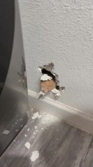 Couple Rescues Kitten Stuck Inside Wall