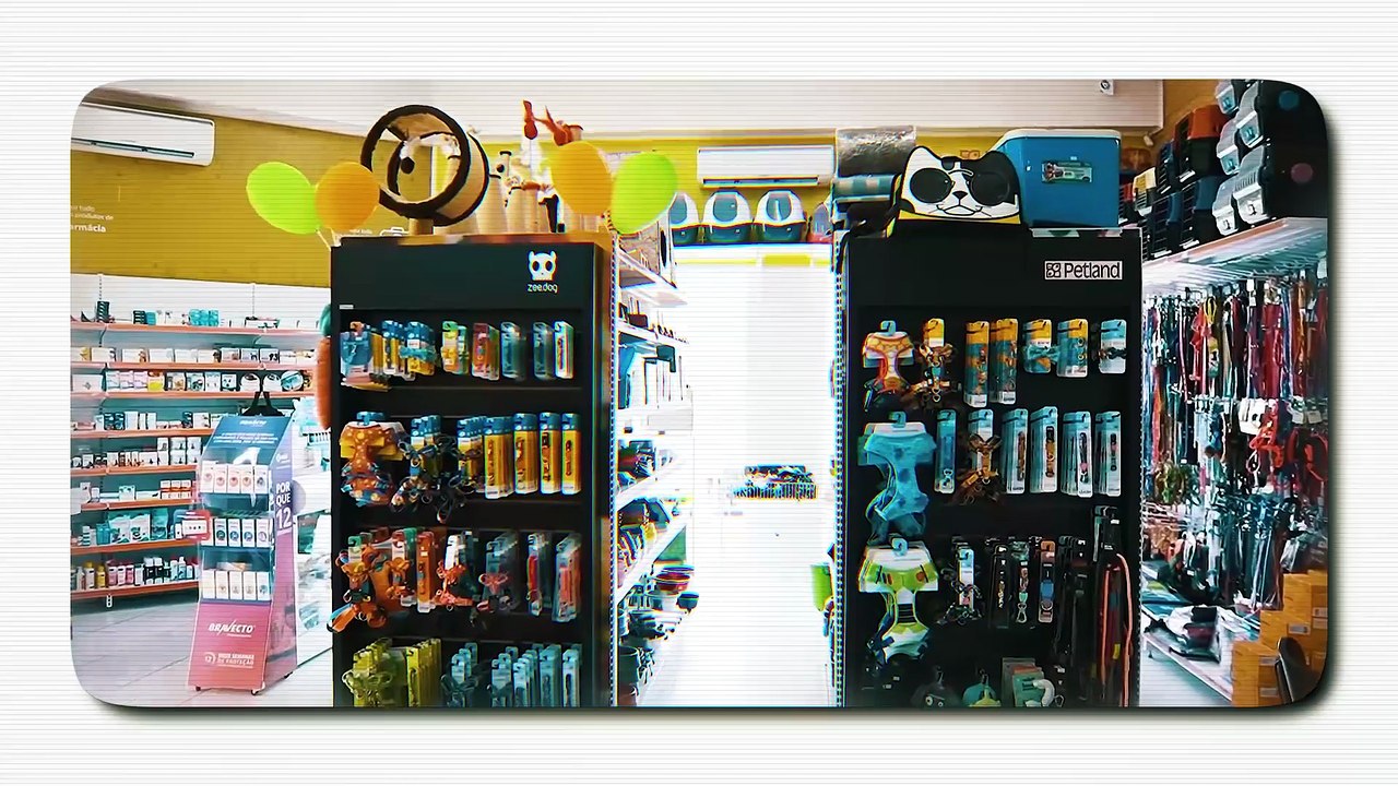 Grandes mudanças no mercado pet com fusão das gigantes Petz e Cobasi; entenda | ORIGINAIS TIMES - EXCLUSIVO CNBC