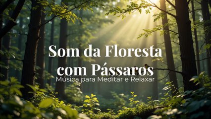 Som da Floresta com Pássaros | Música para Meditar e Relaxar