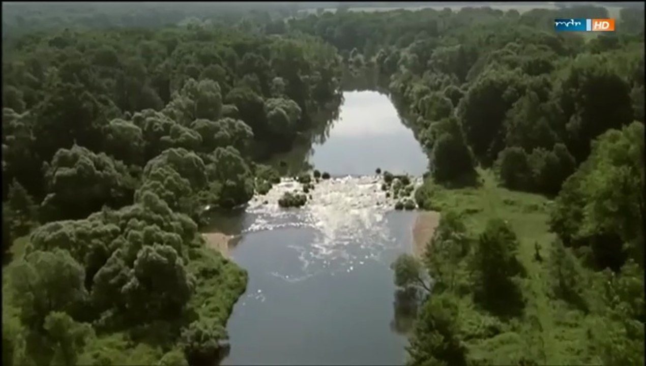 Liebe auf vier Pfoten