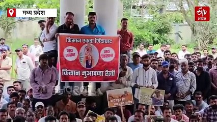 मोहन यादव के रतलाम पहुंचने से पहले किसानों का हल्ला बोल, खुद सोयाबीन के खेतों में उतरे मुख्यमंत्री