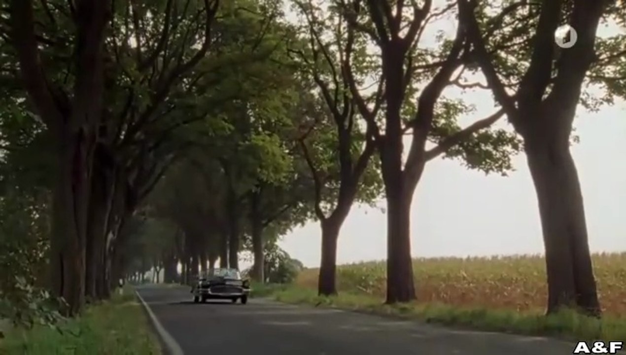 Liebe ist die Beste Medizin