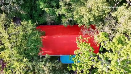 Desafío 2025: Capítulos 52-54 – ¡No te pierdas los momentos clave! 📖