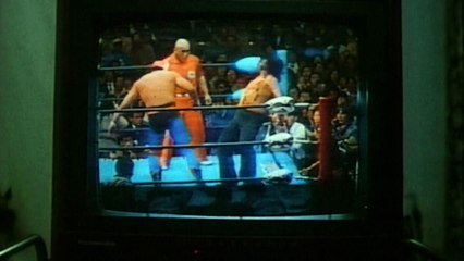 Twilight of the Cockroaches English Sub