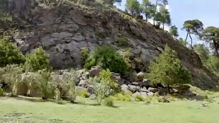 118. Mi Adorable Maldicion