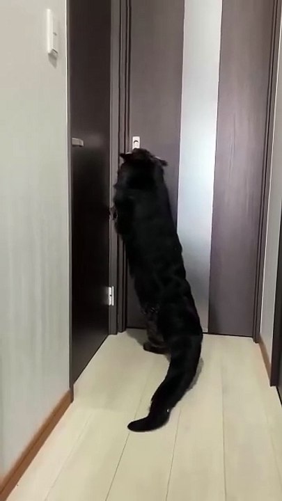 Welcome, who are you