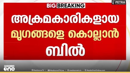 അക്രമകാരികളായ മൃഗങ്ങളെ കൊല്ലാനുള്ള ബില്ലിന് മന്ത്രിസഭയുടെ അംഗീകാരം; സഭാ സമ്മേളനത്തിൽ അവതരിപ്പിക്കും