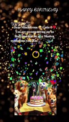 #happybirthday #birthdaywishes  #cuteanimals  #birthdaycelebration  #puppies  #birthday  #BdayPaws