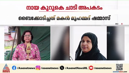 അലനല്ലൂരിൽ നായ ബൈക്കിന് കുറുകെ ചാടി അപകടം; വീട്ടമ്മയ്ക്ക് ദാരുണാന്ത്യം
