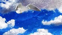 Animation mix-media - Projet scolaire