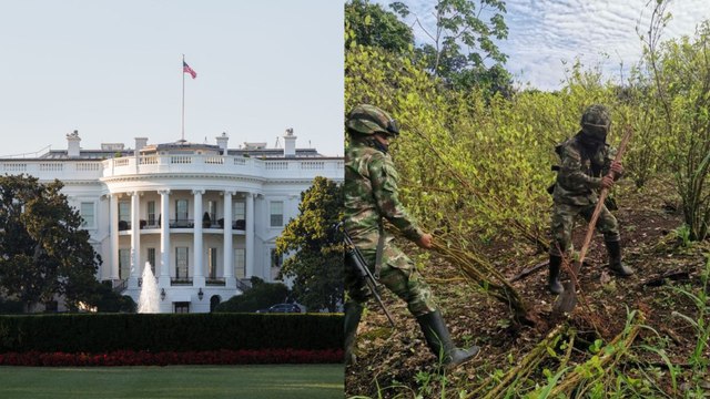 Estados Unidos evaluará certificación de Colombia en lucha antidrogas