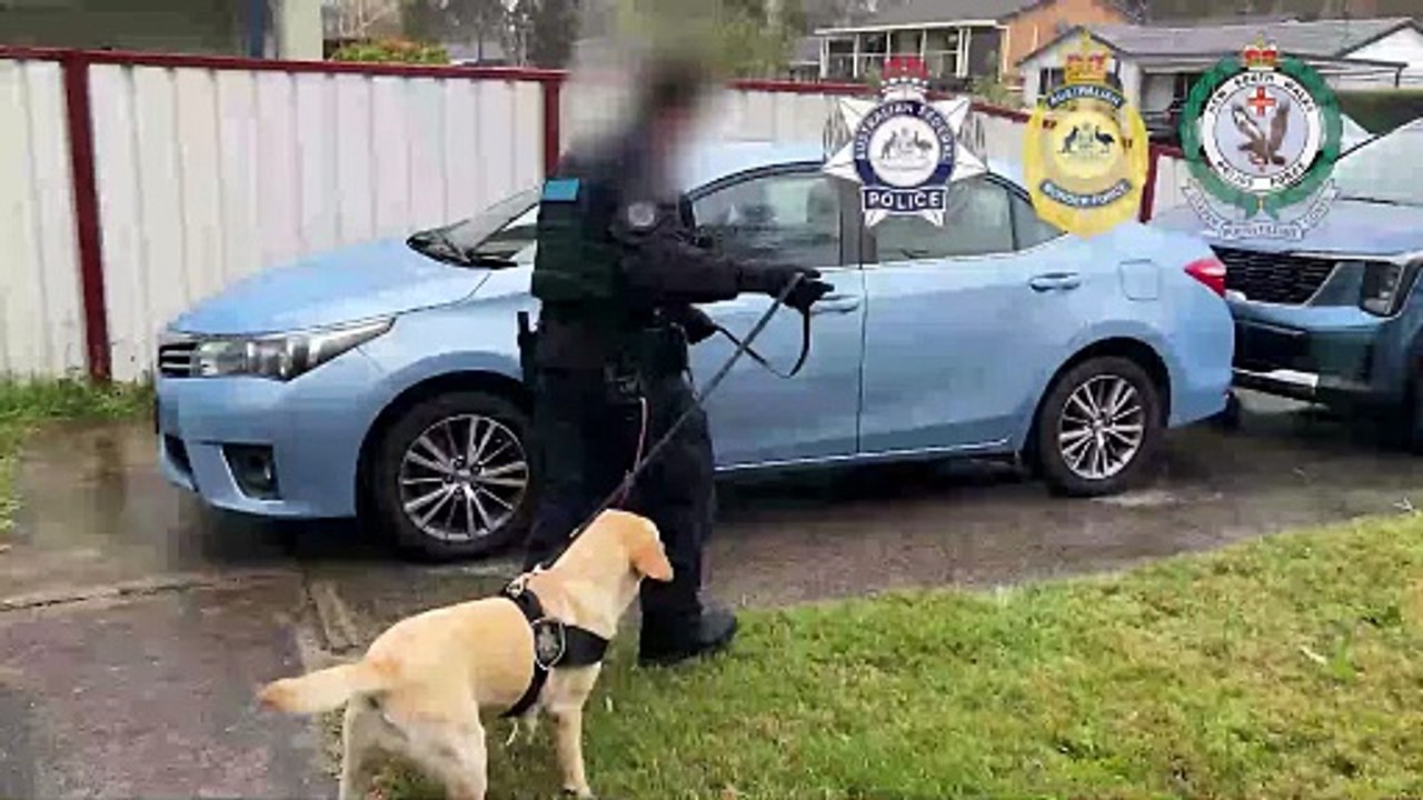 Chittaway Bay arrest vision from AFP - Newcastle Herald - September 15, 2025