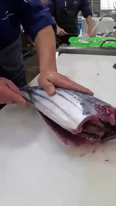 expert skill in cutting tuna