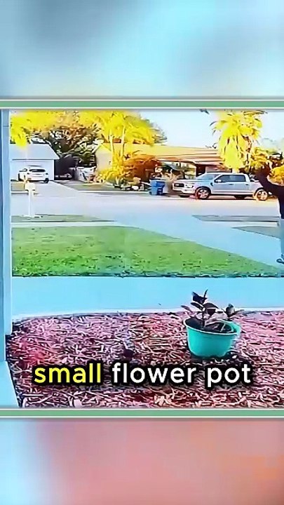 4 Times People Opened the Door and Couldn’t Believe What Happened Next