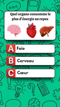 Testez vos connaissances sur le corps humain