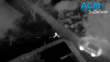 Man allegedly attempts to flee cops by swimming across Yarra River