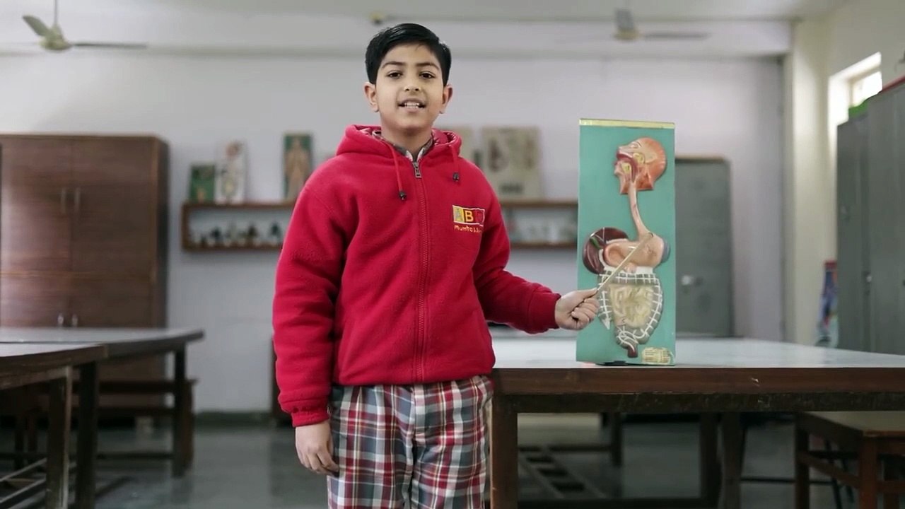 Food Process in the Body | Fun Science Activity at BIPS Patiala