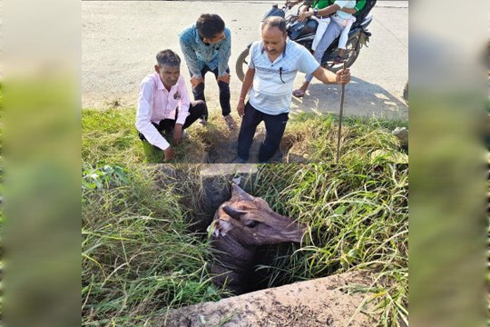 VIDEO: मौत के गड्ढे बने हाईवे के खुले सीवरेज चैंबर, रोजाना हादसे फिर भी बेखबर अधिकारी