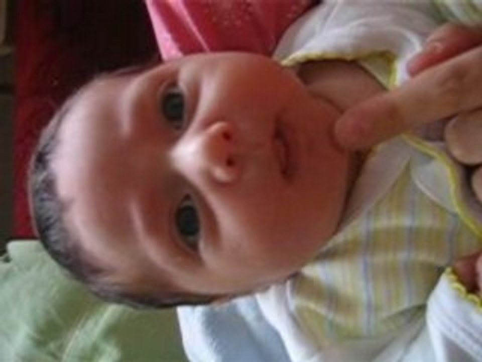 Pinar 3